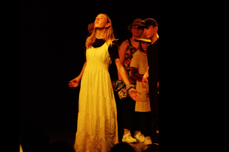 Olympos, les fourmis - Photo n° 5