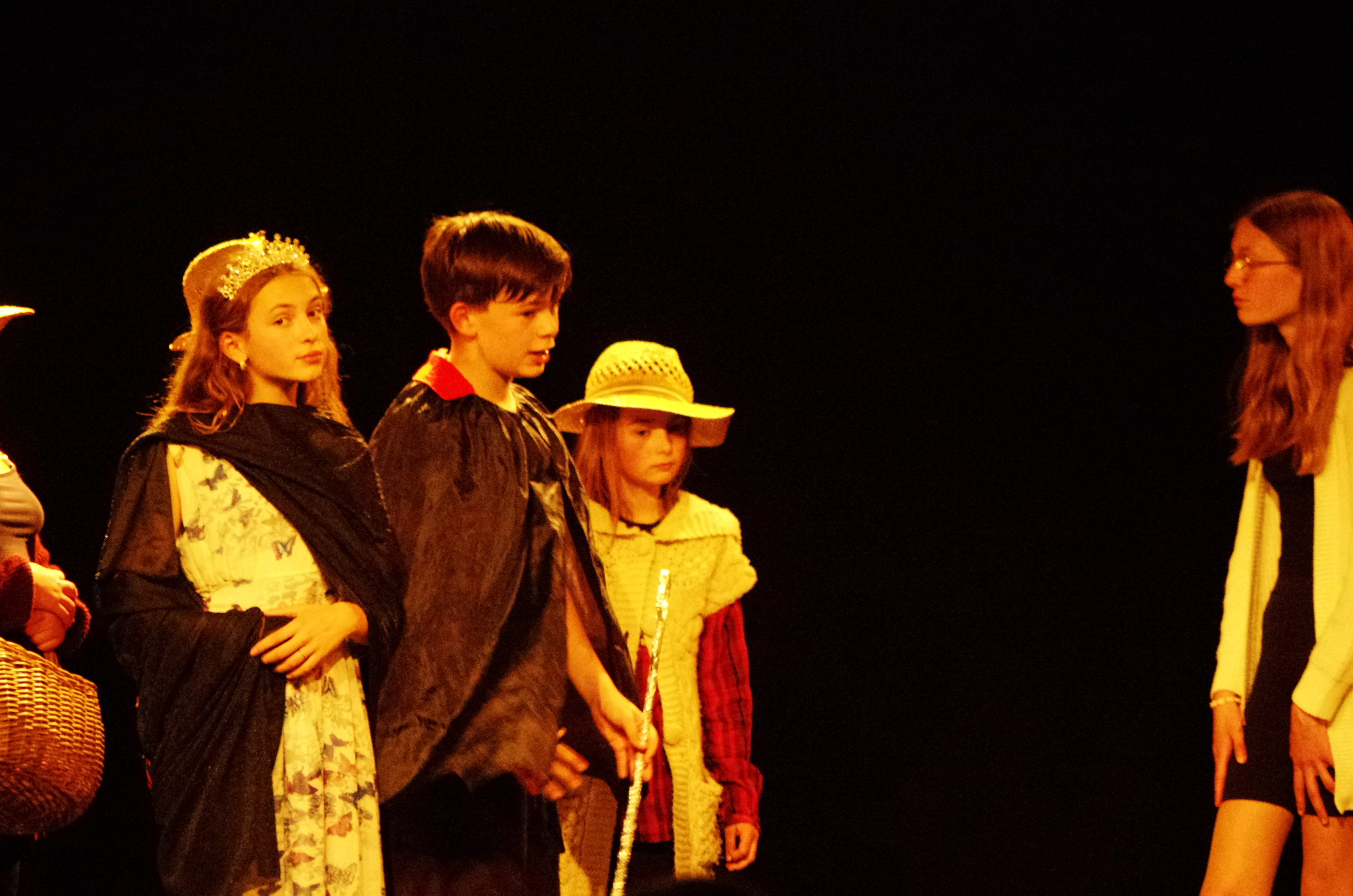 Olympos, les fourmis - Photo n° 6