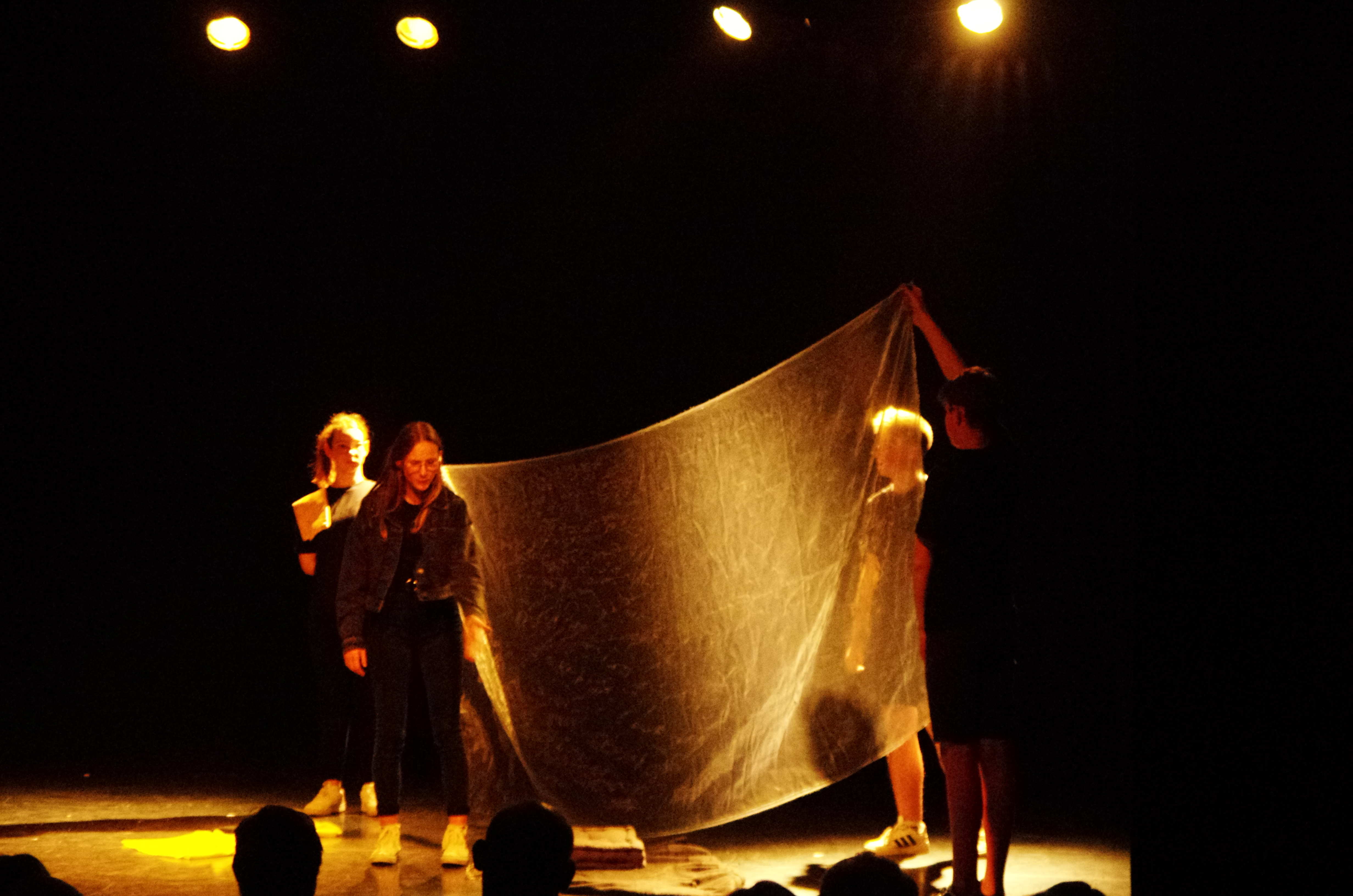 Olympos, les fourmis - Photo n° 7