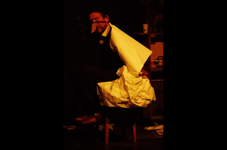 Le Canard cosmique - Photo n° 8